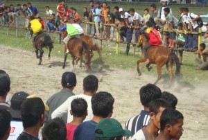 Pacuan Kuda Gayo (LIntas Gayo | Kha A Zaghlul)