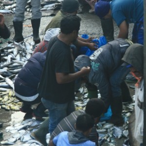 pedagang Ikan Pasar bawah(Foto:kayu kul)