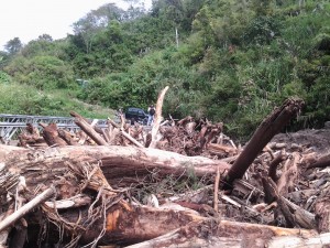 Bongkahan kayu yang diakibatkan oleh banjir bandeng (Foto:Lg)